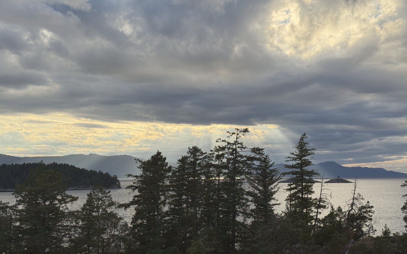 Evergreen trees along a British Columbia shoreline under a cloudy sky